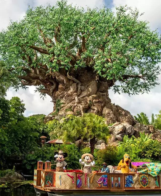Animal Kingdom
